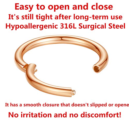 ORANGELOVE Hypoallergenic Nose Rings 20G 18G 16G 14G 12G 10G 8G 316l Surgical Steel Septum Jewelry Hinged Segment Ring Body Piercing Nose Hoop Lip Rings Nose Helix Cartilage Rook Earrings - color: Rose Gold, size: 1pc 14 Gauge 8mm