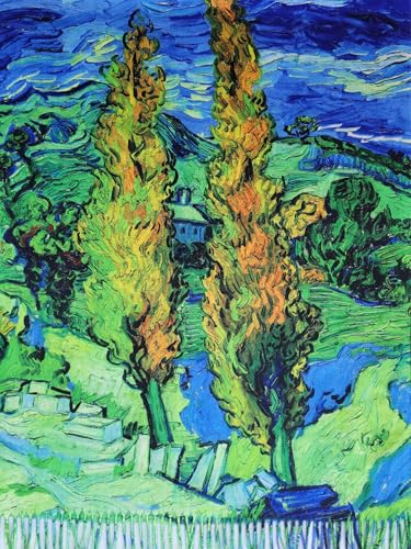 VENVSBEE Reversible Scarf Soft Large Shawl Wrap Blanket Double Sided Art Print Warm Pashmina Stoles Klimt Van Gogh Gifts - color: Art 29
