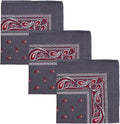 Motique Accessories Two Tone Paisley Bandana - Set of 3 - color: Charcoal