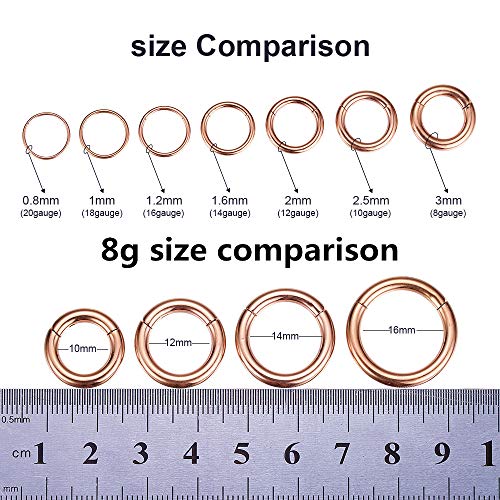 ORANGELOVE Hypoallergenic Nose Rings 20G 18G 16G 14G 12G 10G 8G 316l Surgical Steel Septum Jewelry Hinged Segment Ring Body Piercing Nose Hoop Lip Rings Nose Helix Cartilage Rook Earrings - color: Rose Gold, size: 1pc 8 Gauge 10mm