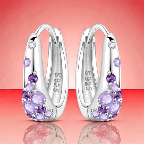 Earrings for Women 925 Sterling Silver Hoop Earring Colorful Cute Fashion Hoop Earrings Graduation Birthday Jewelry Gifts for Women - color: Purple Rhinestone Earrings