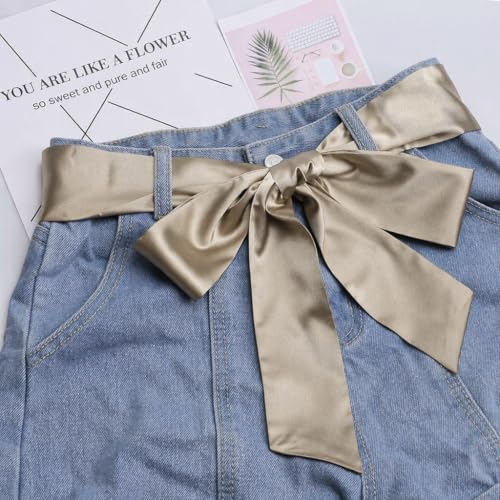 Long Thin Skinny Scarf Satin Neckerchief Ribbon Tie Waist Belt for Women - color: Champagne
