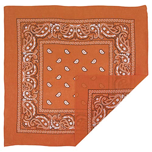 Burnt Orange Paisley Bandana - Single Piece 22x22