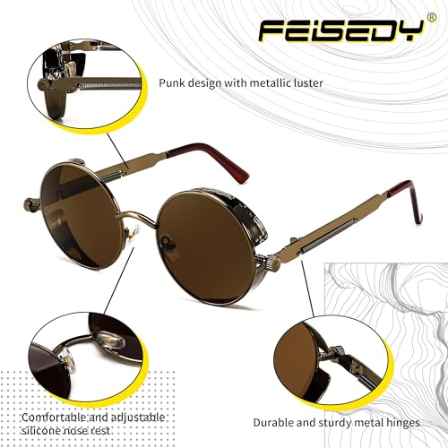 FEISEDY Retro Gothic Steampunk Sunglasses Round Metal Frame Punk Circle Inspired Shade Men B1857 - color: Bronze/Tea