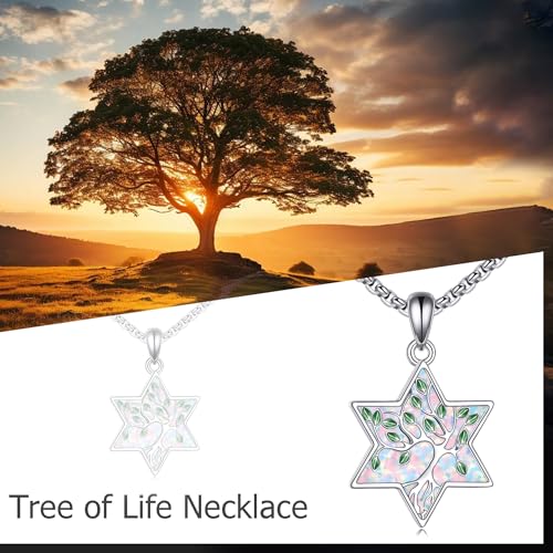 ONEFINITY Tree of Life Necklace 925 Sterling Silver Abalone Shell Celtic Knot Pendant Necklace for Women Jewelry - style: White Opal Star David