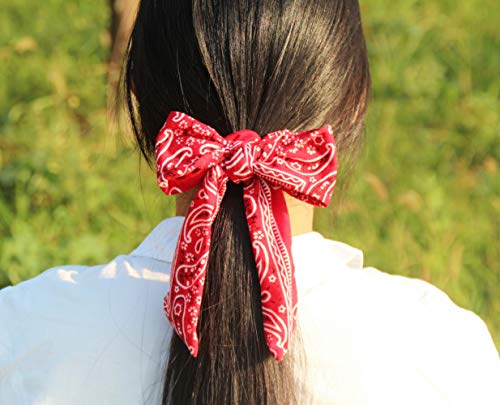 Hair Ties with Ribbons,6PCS Paisley Bow Scrunchies | Scrunchie Bowknot,Hair Ribbon,Bow Ponytail,Soft,Cute,Hair Accessories for Women,2 in 1 - color: NO1