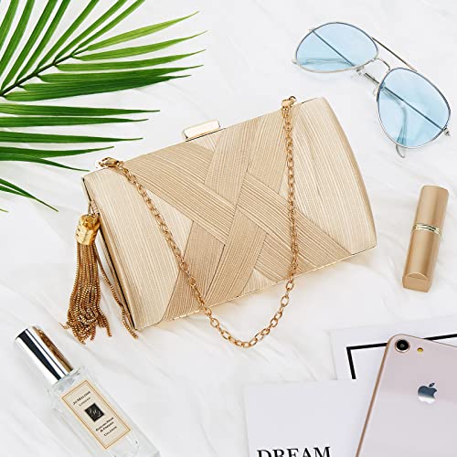 Women Clutch Bag Evening bag Fringed Evening Handbag,Lady Party Wedding Clutch Purse Chain Shoulder Cross Body Bag - color: Champagne