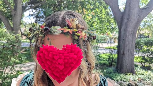 Vivivalue Vine Flower Crown Flower Garland Headband Hair Wreath Floral Headpiece Halo Pinecone Boho with Ribbon Wedding Party Festival Photos - color: U