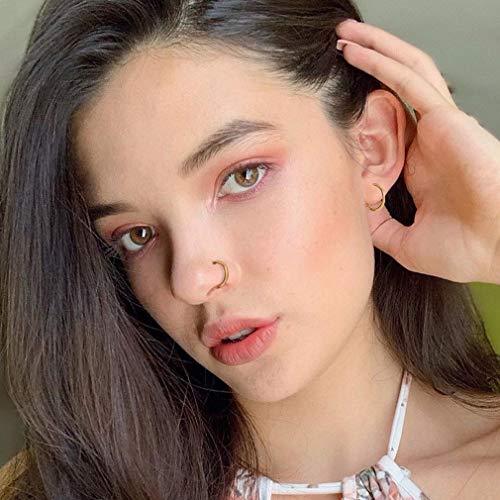 4Pcs 16G 18G 20G Surgical-Steel-Piercing-Ring-Nose-Rings-Hinged-Hoop-Earrings,6mm 8mm 10mm 12mm Seamless Stainless Steel Clicker Eyebrow Septum Piercing Hoop,Sliver Black Gold Rose Gold Rainbow Body Jewelry Set - color: 16G Gold