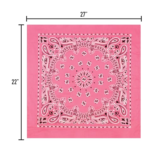Rothco Trainmen Paisley Bandana - Standard - 22" X 22" - color: Pink