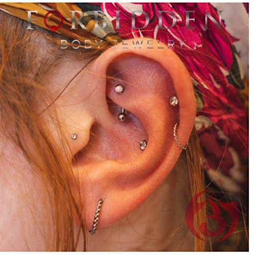 Forbidden Body Jewelry Nose Rings Set Surgical Steel Braided Hoops for Pierced and Fake Nose and Cartilage Piercings 14G-20G - style: 20g 8mm Silver Tone (2pcs)