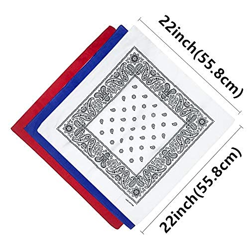 Vamqor 12pcs Bandana for women and men 100% Cotton Custom Fashion Paisley Design Multifunctional Outdoor Square Handkerchief - color: Basic Assorted