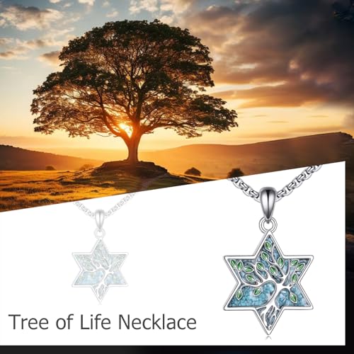 ONEFINITY Tree of Life Necklace 925 Sterling Silver Abalone Shell Celtic Knot Pendant Necklace for Women Jewelry - style: Turquoise Star of David