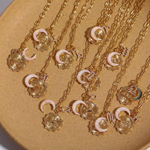 Dainty Gold Zodiac Embossed Coin Opal Crescent Moon Charm Necklace for Women Trendy 18K Gold Plated Retro Paperclip Chain 12 Constellation Horoscope Necklaces Astrology Jewelry Gifts - style: 4.CANCER (JUN 21-JUL 22)