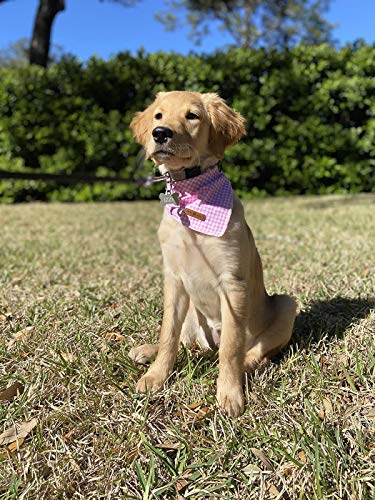 Lionet Paws Dog Bandana Washable Cotton Handkerchief Scarf Triangle Bandana for Small Medium Large Dogs Pink Grid - color: Pink Grid, size: Small (Pack of 1)