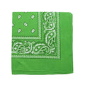 Motique Accessories 22 Inch Cotton Paisley Bandana - color: Apple Green