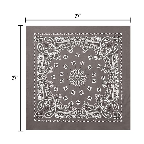 Rothco Trainmen Paisley Bandana 27” x 27” Extra‑Large 100% Cotton Head Wrap Scarf Multi‑Use - color: Grey