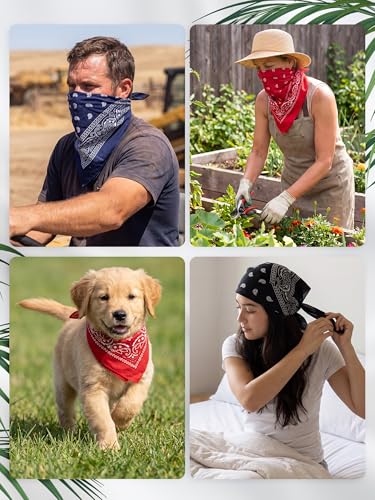 Unittype 48 Pieces Paisley Bandana Novelty Unisex Cowboy Headband Sports Bandannas Scarf Outdoor for Western Party Costume - color: Black,white,red,navy Blue,baby Blue,olive Green, style: Classic