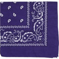 Raylarnia Bandana Multi-Purpose 100% Cotton Headbands for Women, 22 inch Paisley Cowboy Bandanas for Men - color: Purple