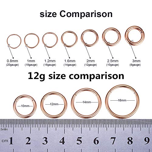ORANGELOVE Hypoallergenic Nose Rings 20G 18G 16G 14G 12G 10G 8G 316l Surgical Steel Septum Jewelry Hinged Segment Ring Body Piercing Nose Hoop Lip Rings Nose Helix Cartilage Rook Earrings - color: Rose Gold, size: 1pc 12 Gauge 10mm