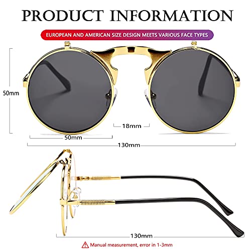 AIEYEZO Round Flip Up Sunglasses for Men and Women Rave Flip Glasses 90's Retro Steampunk Style - color: A1 Gold/Grey