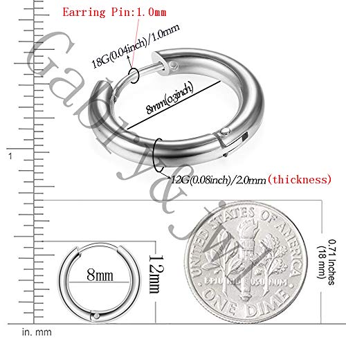 316L Surgical Stainless Steel Huggie Hoop Earrings 6mm 8mm 10mm 11mm 12mm 14mm Hypoallergenic Earrings Hoop Cartilage Helix Lobes Hinged Sleeper Earrings For Men Women - style: B02: 8mm Silver(THK 2.0mm)