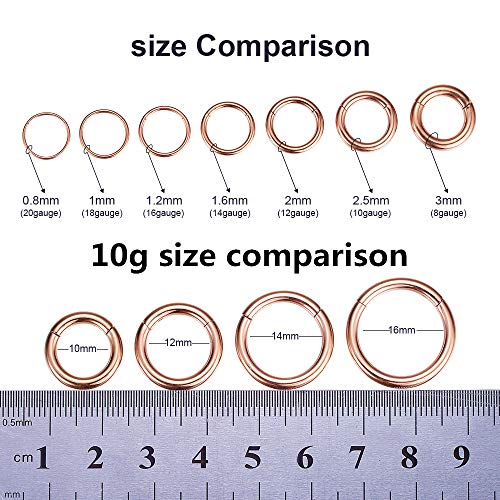 ORANGELOVE Hypoallergenic Nose Rings 20G 18G 16G 14G 12G 10G 8G 316l Surgical Steel Septum Jewelry Hinged Segment Ring Body Piercing Nose Hoop Lip Rings Nose Helix Cartilage Rook Earrings - color: Rose Gold, size: 1pc 10 Gauge 10mm