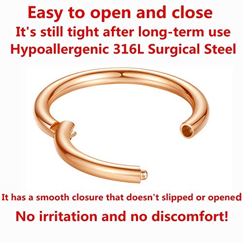 ORANGELOVE Hypoallergenic Nose Rings 20G 18G 16G 14G 12G 10G 8G 316l Surgical Steel Septum Jewelry Hinged Segment Ring Body Piercing Nose Hoop Lip Rings Nose Helix Cartilage Rook Earrings - color: Rose Gold, size: 1pc 12 Gauge 10mm
