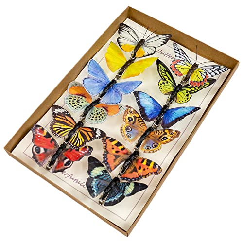 Berfutall-Artificial Feather 3D Butterfly Party Decorations Set of 12 with Clip 12 Color Ornaments for Christmas Tree - color: A Clip