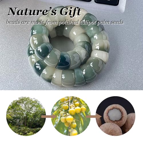Fidget Bracelet Natural Bodhi Seeds Beaded Bracelets Zen Fidget Stretch Bracelets Alleviate Anxiety Stress Protection Healing Bodhi Jewelry Gifts for Women Men - color: A9:Fidget Bracelet