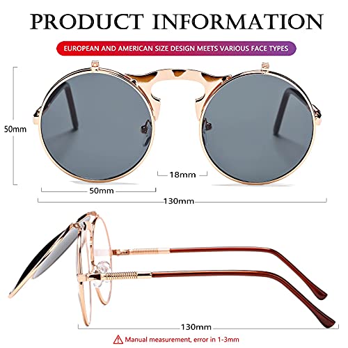 AIEYEZO Round Flip Up Sunglasses for Men and Women Rave Flip Glasses 90's Retro Steampunk Style - color: A3 Rose Gold/Grey