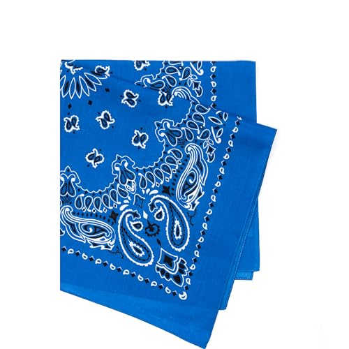 Rothco Trainmen Paisley Bandana - Standard - 22" X 22" - color: Royal Blue