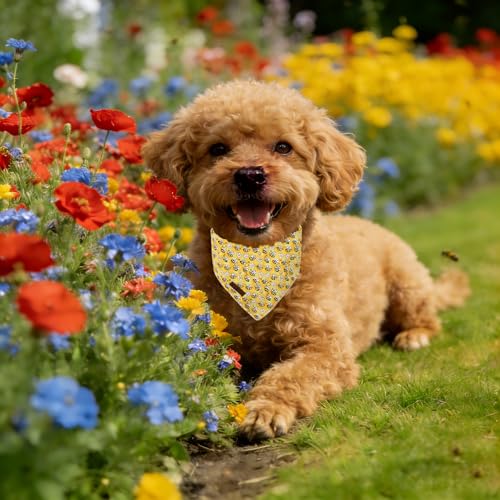 Lionet Paws Spring Summer Bee Dog Bandana Washable Cotton Handkerchief Scarf Triangle Yellow Bandana for Small Medium Dogs Girl Boy - color: Cute Bee, size: Small (Pack of 1)