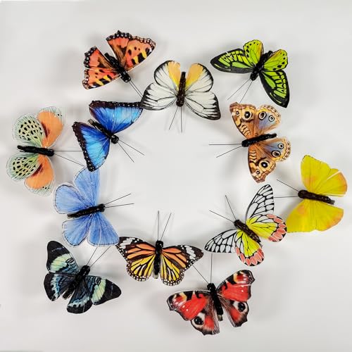 Berfutall-Artificial Feather 3D Butterfly Party Decorations Set of 12 Color Ornaments for Christmas Tree(C)… - color: 12 Color C