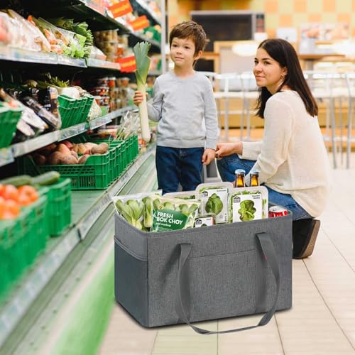 LHZK 2 Pack Utility Tote Bag with Metal Wire Frame and the Sides Rinforced, Large Tote Bag with Handle, Reusable Grocery Bags Foldable, Beach Bag, Car Tote (Grey, 18.5''x11.8''x11.5'') - color: Dark Gray, size: 18.5''x11.8''x11.5''-2 Pack
