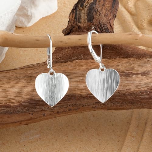 14K Gold Dangle Earrings for Women，Lightweight Circle Disc Coin Geometric Flat Brushed Drop Earrings, Hypoallergenic Leverback Earrings Jewelry - color: D-Silver