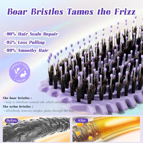 Curl Defining Hair Brush for Curly Hair Fast Blow Drying Styling Hairbrush | Boar Bristle Hair Brush Gentle Detangling for Women Girls Long Wavy Thin Fine Hair Wet Dry Use, Smoothing Hair No Tangle - color: Purple