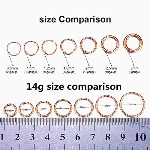 ORANGELOVE Hypoallergenic Nose Rings 20G 18G 16G 14G 12G 10G 8G 316l Surgical Steel Septum Jewelry Hinged Segment Ring Body Piercing Nose Hoop Lip Rings Nose Helix Cartilage Rook Earrings - color: Rose Gold, size: 2pcs 14 Gauge 6mm