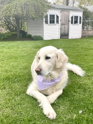 Lionet Paws Spring Daisy Dog Bandana Washable Cotton Handkerchief Scarf Triangle Purple Bandana for Small Medium Large Dogs Girl Boy - color: Purple Daisy, size: Small (Pack of 1)