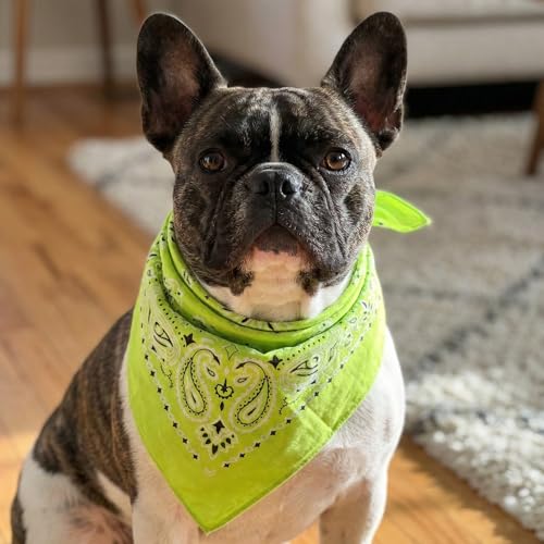 The Peacock Crew Premium Soft Cotton Bandanas Pack for Men and Women Paisley 22 x 22 inches - color: Pack of 10 Lime Green