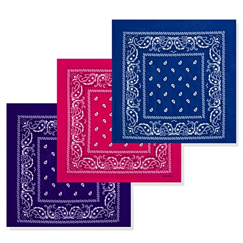 Cotton Bandanas for Men & Women Paisley Cowboy Bandana Handkerchiefs for Hair 22x22 - color: 3pcs Purple/Rose/Sapphire