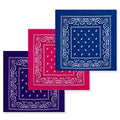 Cotton Bandanas for Men & Women Paisley Cowboy Bandana Handkerchiefs for Hair 22x22 - color: 3pcs Purple/Rose/Sapphire