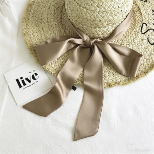 Long Thin Skinny Scarf Satin Neckerchief Ribbon Tie Waist Belt for Women - color: Champagne