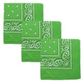 Motique Accessories Set of 3 Paisley Bandanas – 100% Cotton 22 Inch Head Scarf Neck Bandana Face Cover - color: Apple Green