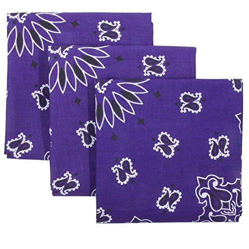 Bandana 3-Pack - Made in USA For 70 Years - Sold by Vets - 100% Cotton - Sewn Edges - color: Purple 3 Pack