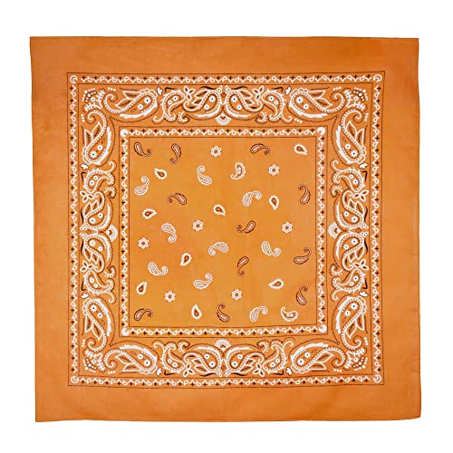 Gift Packaging Bandana for Men Women - 100% Cotton, Paisley, 22x22 In, 1 Pack - Large Bandanna Handkerchief Cowboy Hanky - color: Orange