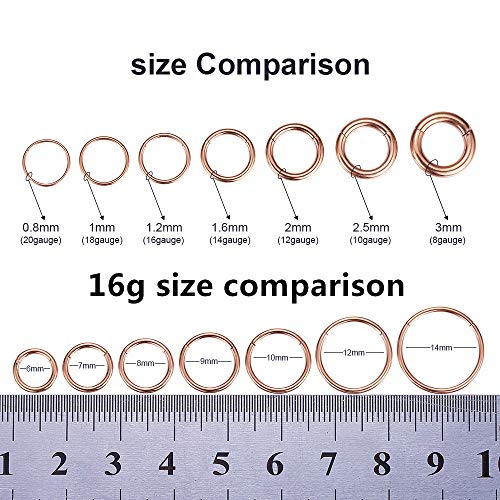 ORANGELOVE Hypoallergenic Nose Rings 20G 18G 16G 14G 12G 10G 8G 316l Surgical Steel Septum Jewelry Hinged Segment Ring Body Piercing Nose Hoop Lip Rings Nose Helix Cartilage Rook Earrings - color: Rose Gold, size: 1pc 16 Gauge 8mm
