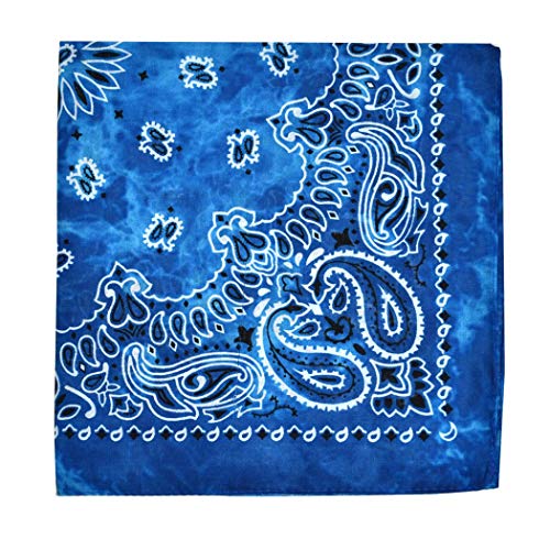 NYFASHION101 Unisex Double Sided Print Paisley Cotton Bandana Head Wrap Scarf - color: Blue Tie Dye