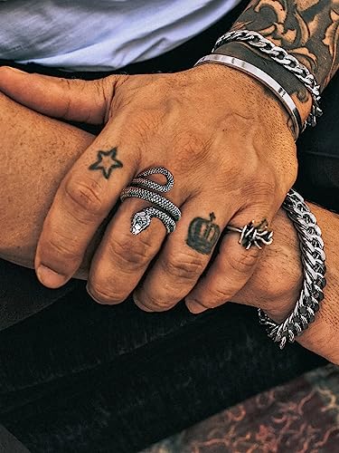 Stainless Steel/18K Gold Plated/Black Snake Ring for Men Women Size 7-12 Serpent Reptile Rings Punk Gothic Jewelry(with Gift Box) - color: 01-Steel