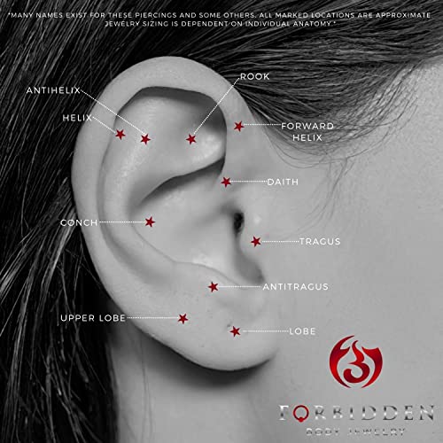 Forbidden Body Jewelry Nose Rings Set Surgical Steel Braided Hoops for Pierced and Fake Nose and Cartilage Piercings 14G-20G - style: 20g 10mm Silver Tone (2pcs)